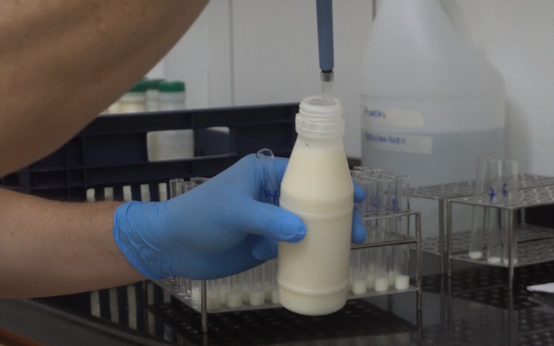 Lanzan concurso para promover consumo de leche y productos lácteos