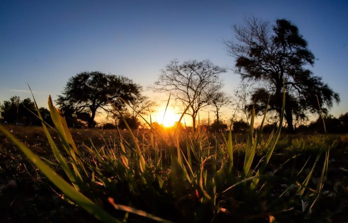 Martes fresco con marcados vientos del sur, según Meteorología