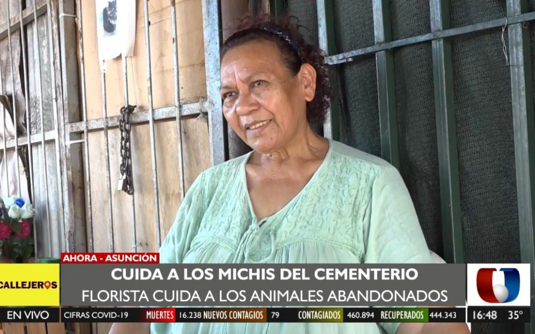¡Qué gran corazón!: mujer cuida a gatitos abandonados en cementerio de la Recoleta