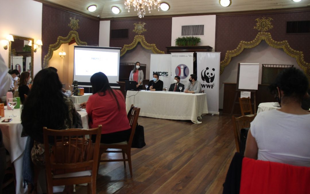 Paraguay: ¿Cómo ser consumidores responsables?