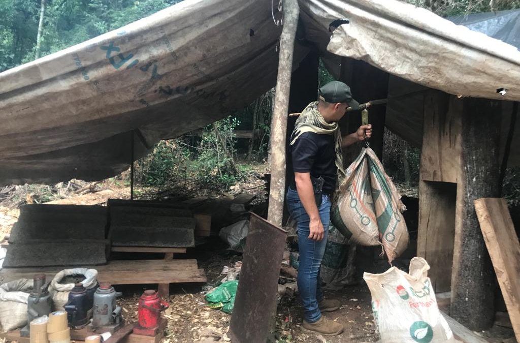 Parque San Rafael: SENAD interviene campamento narco e incautan 250 kilos de marihuana