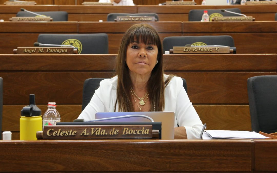 Presentan pedido de pérdida de investidura contra Celeste Amarilla