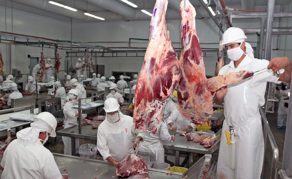 “Brasil está invadiendo países donde Paraguay es fuerte”, sobre exportación de carne