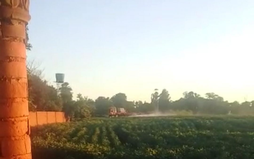 Tras intoxicación de una niña, imputan a productor que fumigó plantación de soja