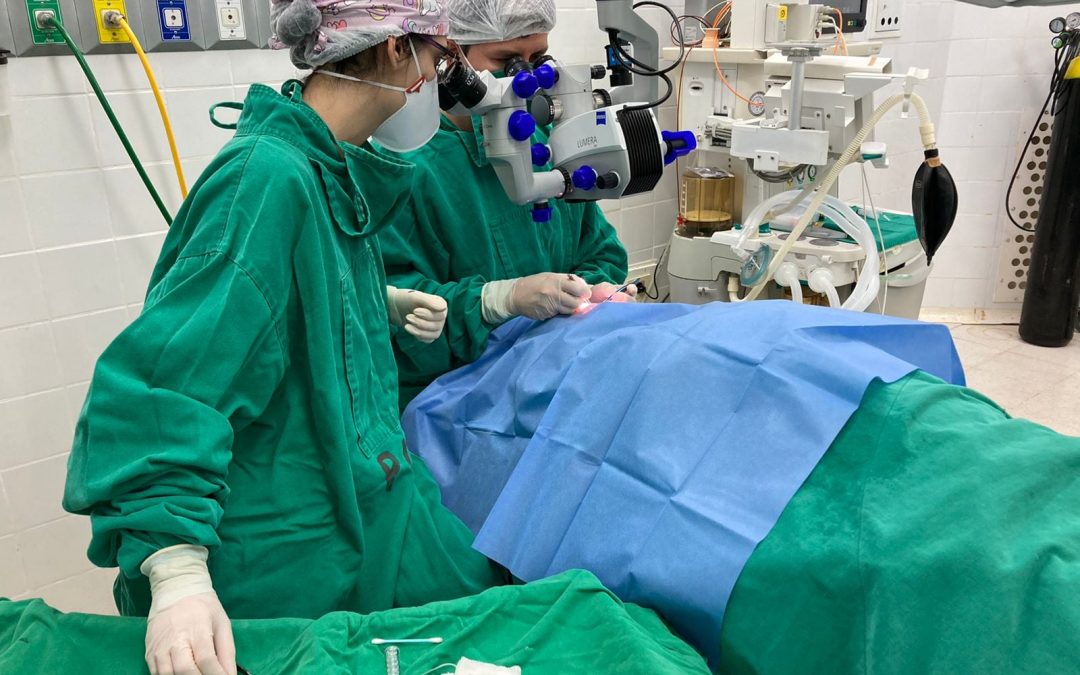 Luego de un año, mujer de 72 años recibió un trasplante de córnea