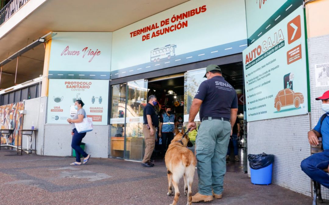 Caacupé 2021: SENAD realiza tareas de control preventivo en la TOA
