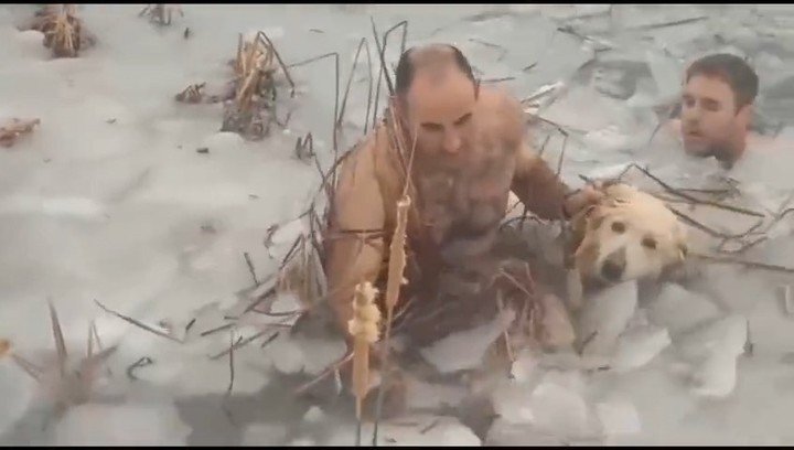 Heroico: guardias rescataron a un perro atrapado en un estanque congelado