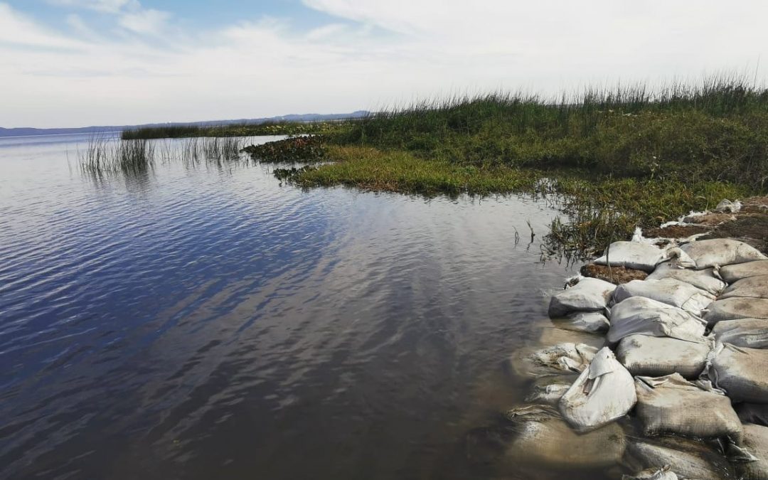 Nivel del agua del lago Ypacaraí se mantiene aceptable hace un año