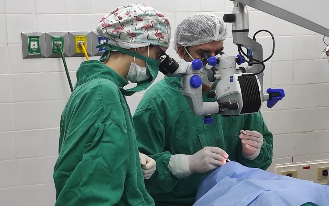 Joven recobrará la vista gracias a trasplante de córnea