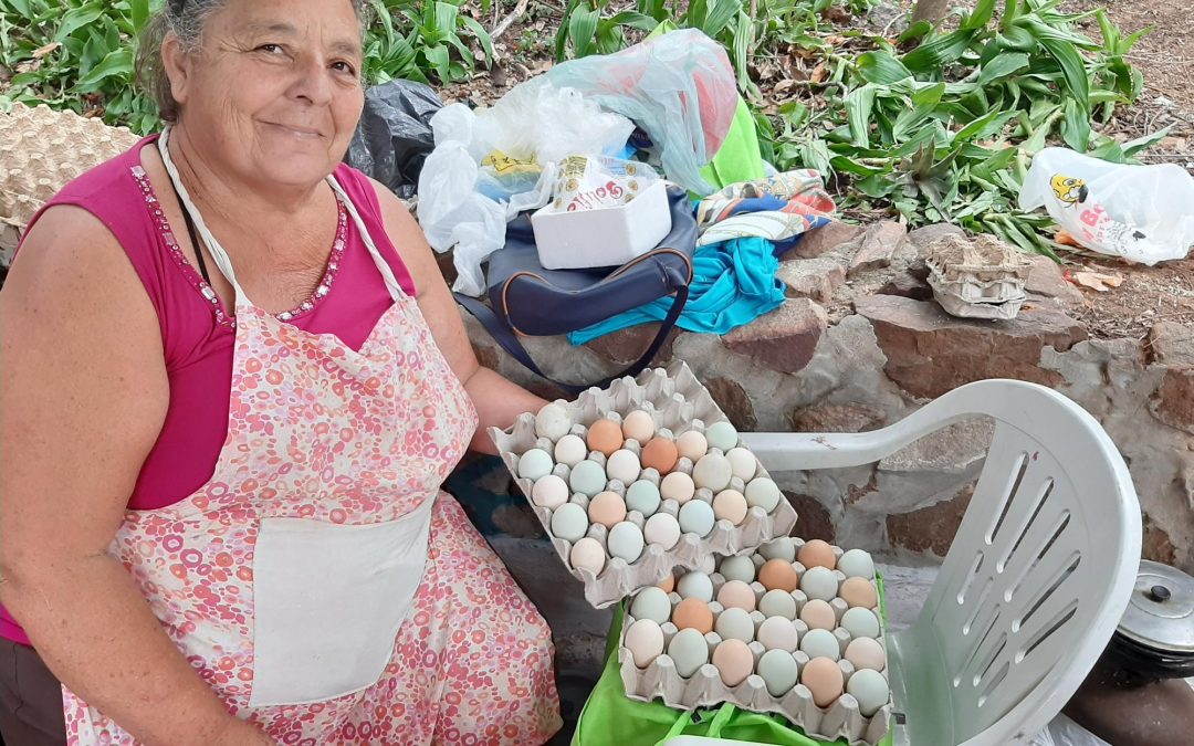 Realizan feria agroecológica y artesanal este jueves en la Plaza Italia
