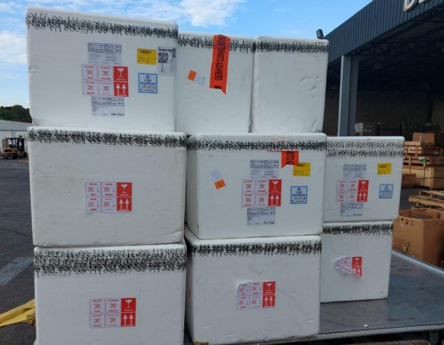Lote de 100 mil dosis contra la fiebre amarilla fue adquirido por Paraguay