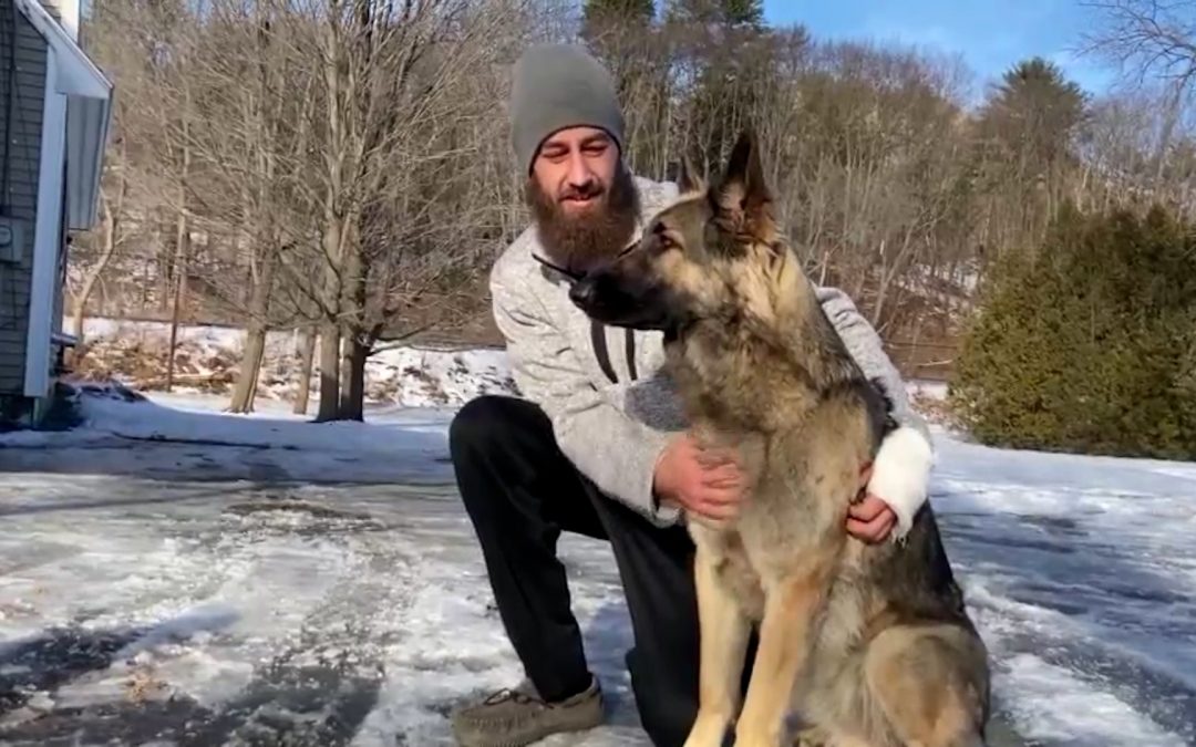 Héroe de cuatro patas: perro guió a policías hasta auto volcado de su dueño