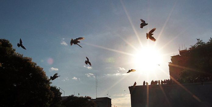 Ola de calor se instala en todo el territorio nacional