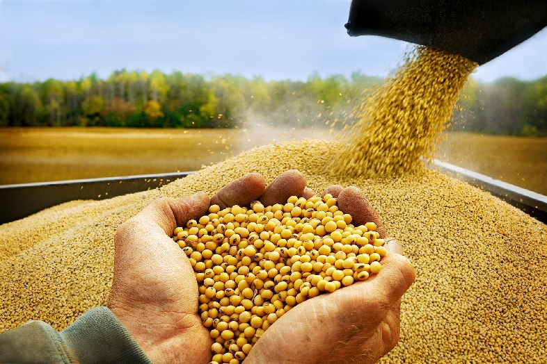 Paraguay registró superávit comercial por USD 941 millones al cierre del 2021