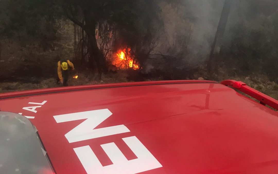 SEN: ley de manejo de fuego permitirá aclarar responsabilidades, según Roa