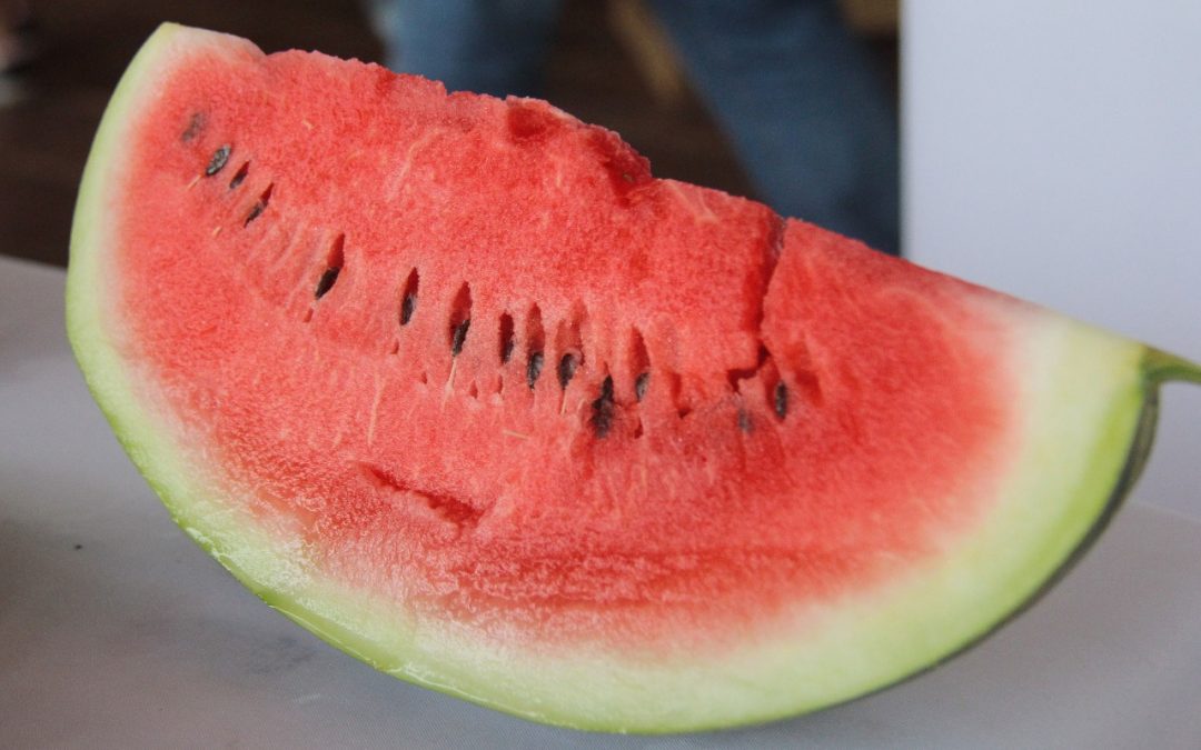 ¿Cómo alimentarnos durante una jornada calurosa?: esto recomienda Salud