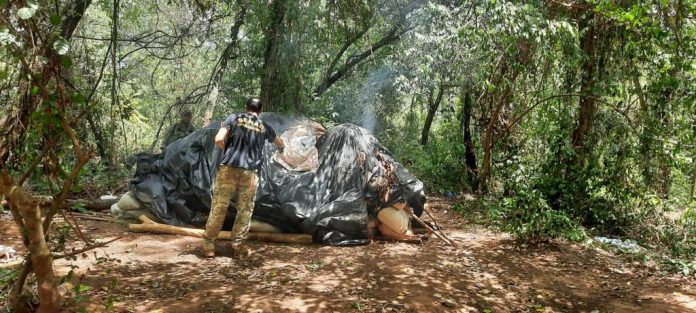 SENAD destruye toneladas de droga en zona rural y detienen a un hombre