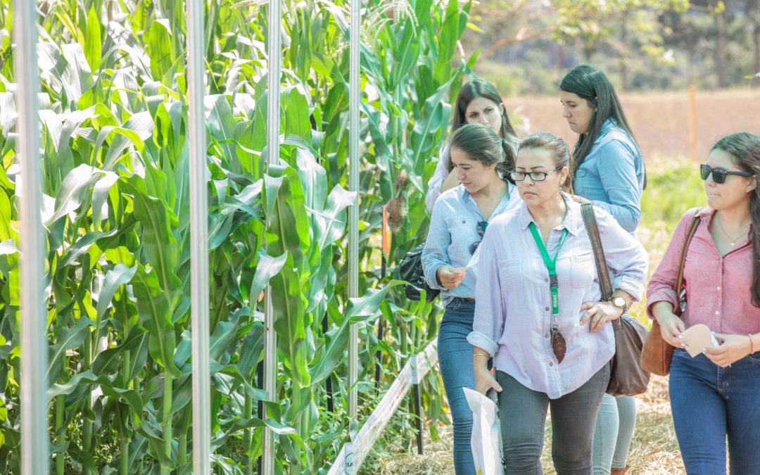 Innovar 2022: más de 20 empresas presentarán cultivos demostrativos