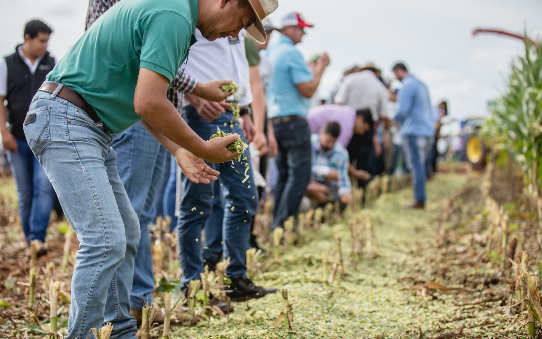 Innovar 2022: en marzo llega la mayor feria agropecuaria del país