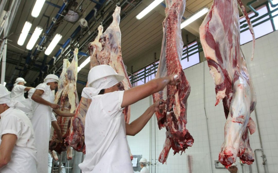 Gremio cárnico espera que conflicto bélico entre Ucrania y Rusia no afecte la exportación