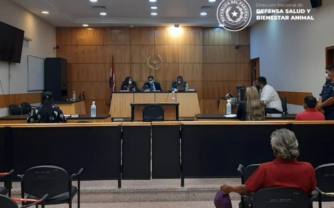 Histórico juicio oral por abuso sexual a una gallina