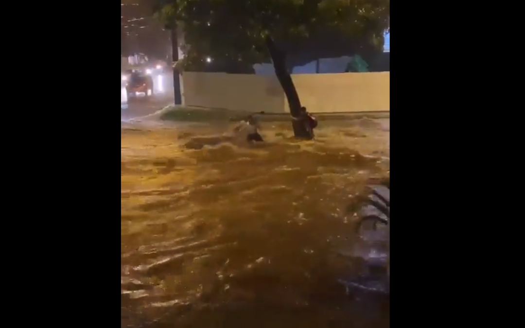 “Estamos agradecidos con Froilán y otros que salvaron a mi pequeño amor”