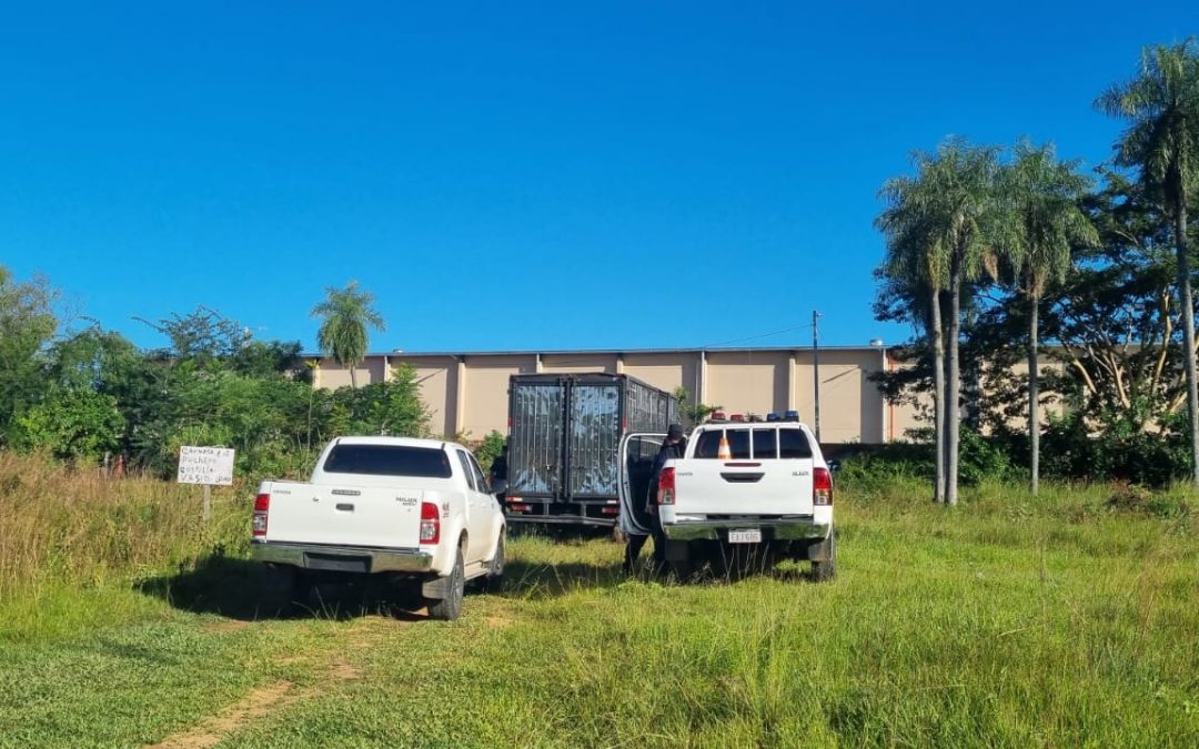 Millonario asalto a camión que transportaba equipos electrónicos