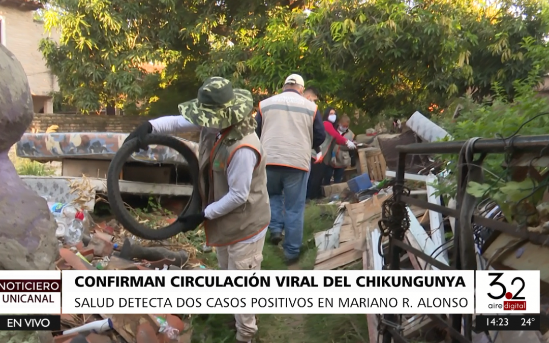 Salud confirma los dos primeros casos de chikungunya