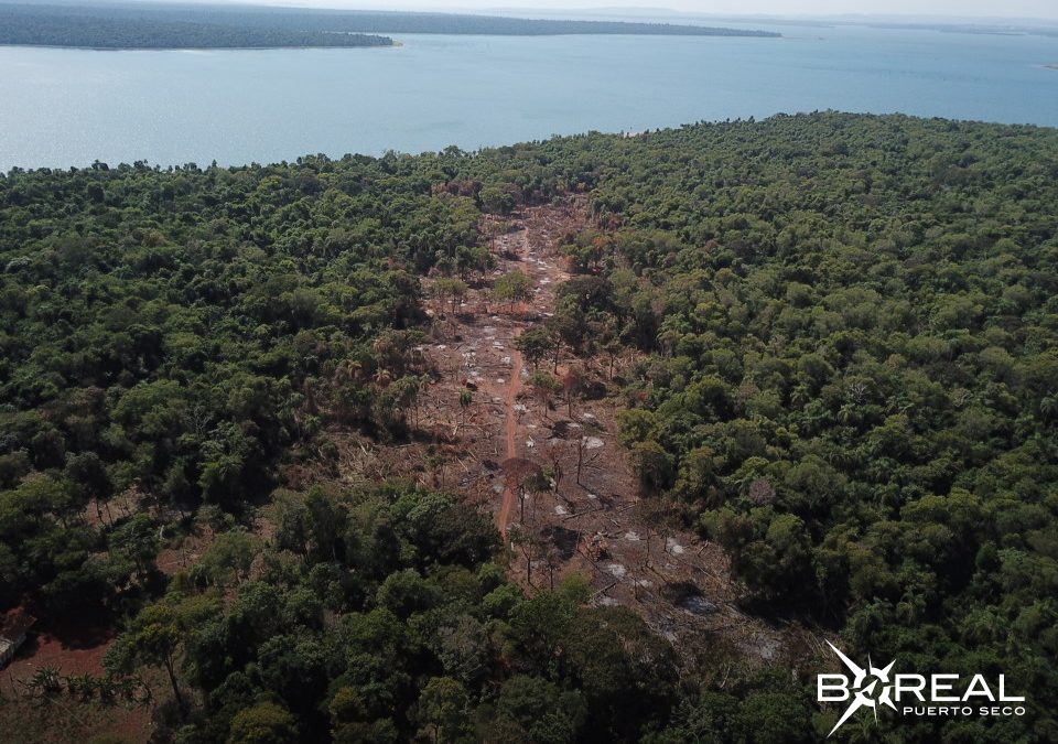 Día de la Tierra: nada que festejar debido a la crisis ecológica, aseguran