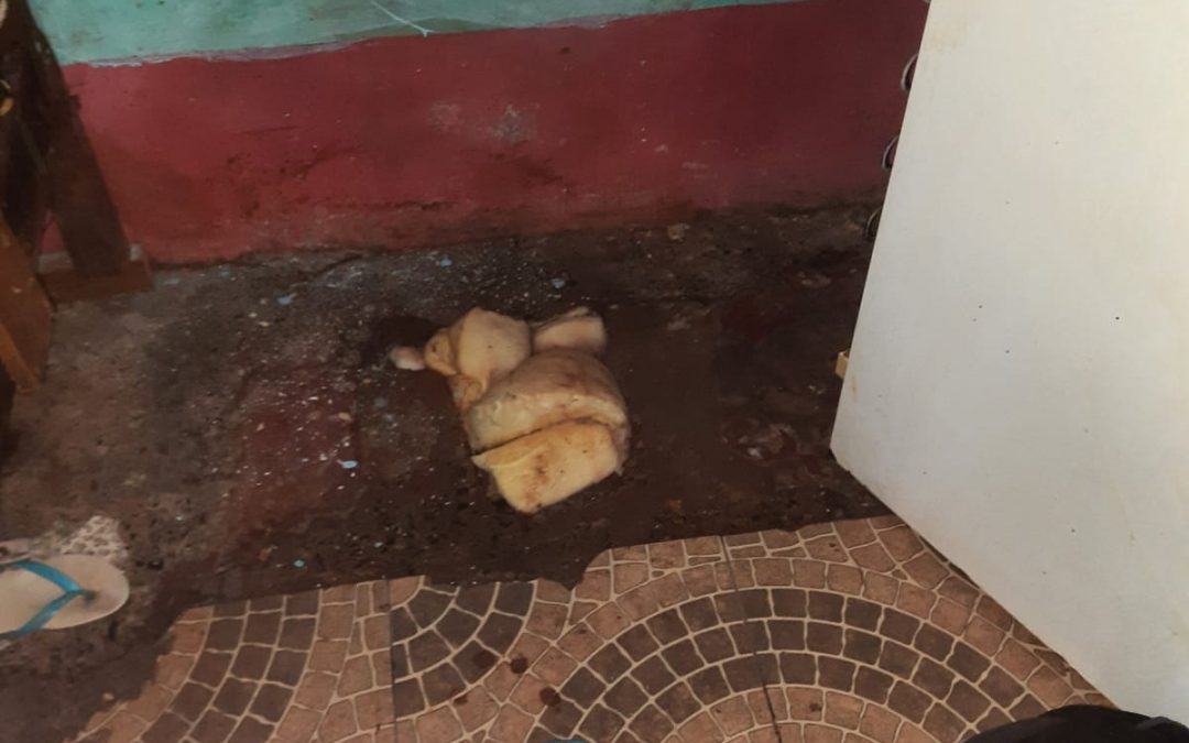 Descubren túnel en cárcel de CDE y frustran plan de fuga
