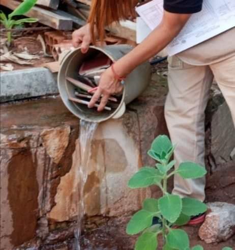 Salud insiste en eliminar criaderos por aumento de casos de dengue y chikungunya