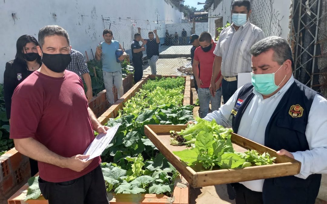Interno cultiva alimentos en Tacumbú: “Quiero ser una mejor persona”