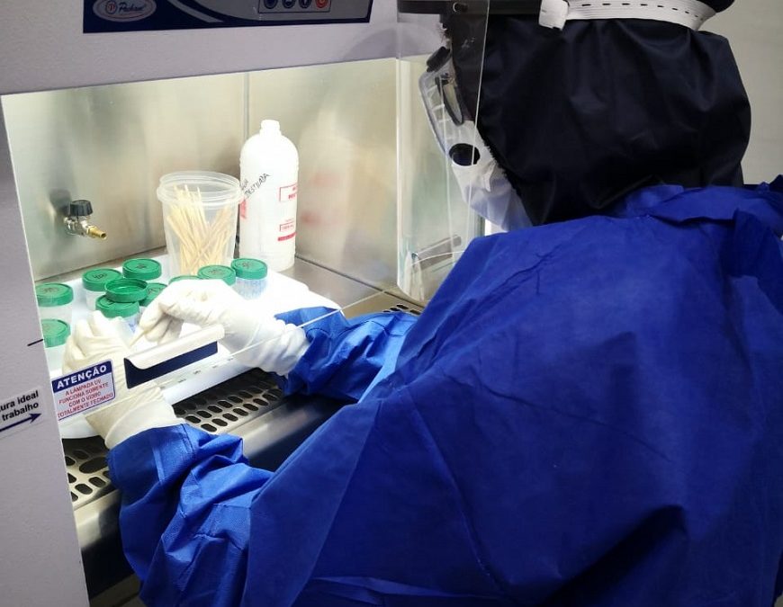 Salud confirma primer caso sospechoso de viruela del mono y activa protocolo de alarma
