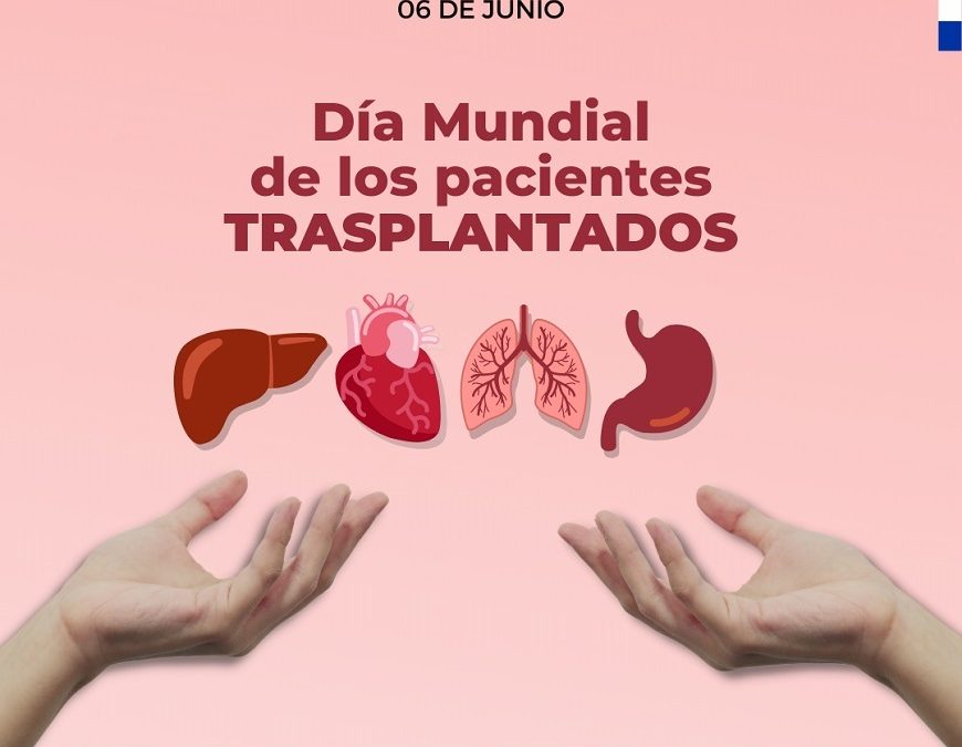 Día Mundial de los Pacientes Trasplantados: ¡su vital importancia!