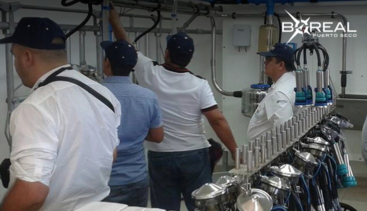 Taiwán, interesado en exportar leche en polvo de Paraguay