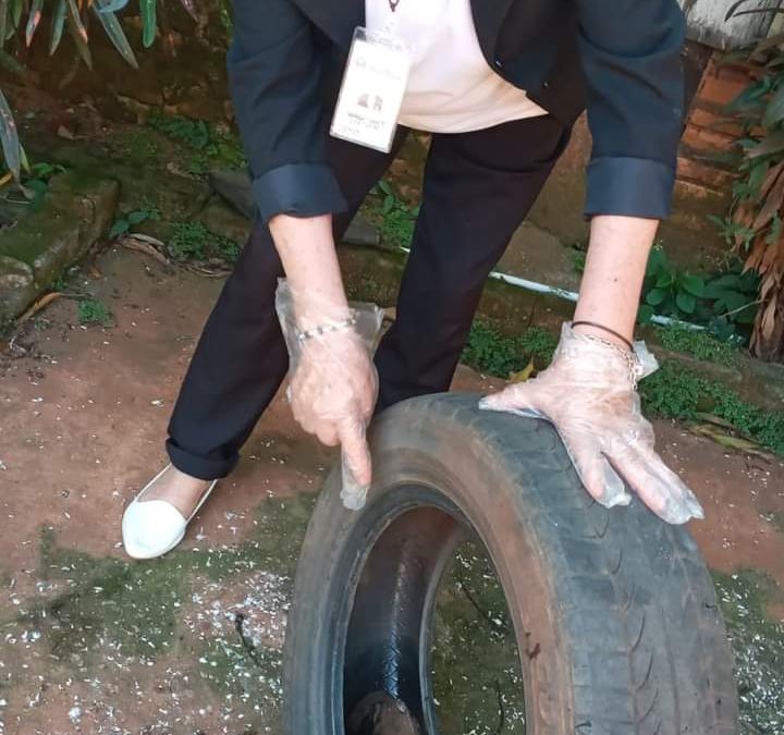Ante casos de dengue y chikungunya, Salud insiste en la eliminación de criaderos