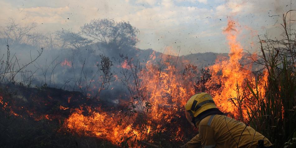 SEN lanza campaña para prevenir incendios forestales