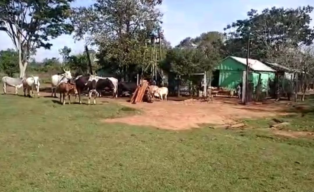 Itapúa: grupo criminal ataca a familias humildes y trabajadoras