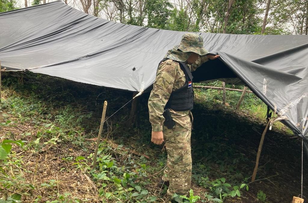 Destruyen 13 toneladas de marihuana en área de la Reserva San Rafael