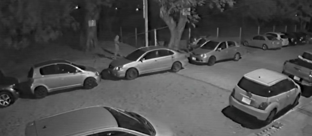 Fernando de la Mora: En menos de dos minutos hombre robó un auto