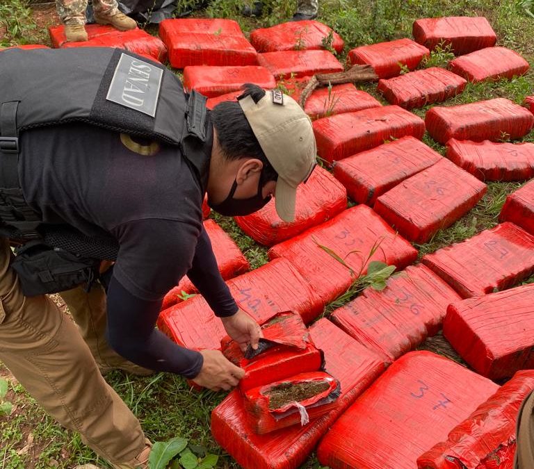 Senad incautó más de 1.200 kilos de marihuana en la Reserva de Itaipú