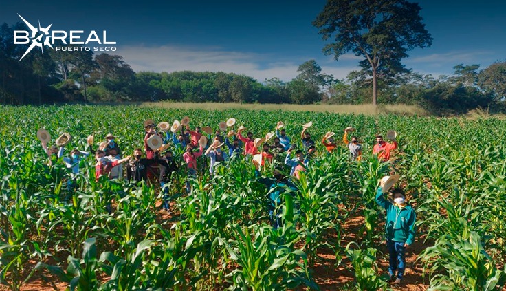 Sector productivo apunta a reformular políticas de inversión agrícola