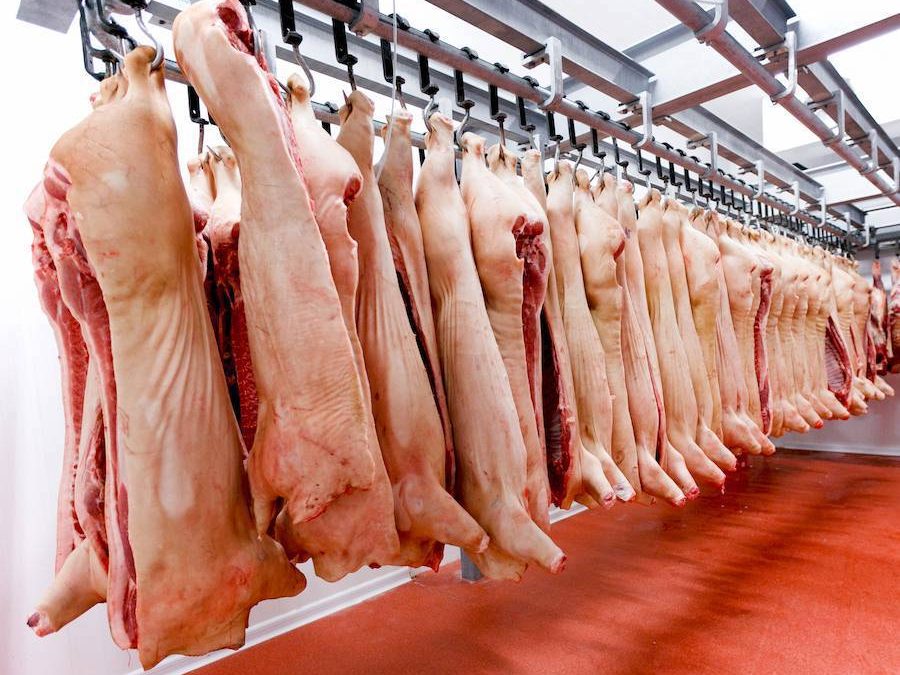 Taiwán autoriza importación de carne porcina desde Paraguay