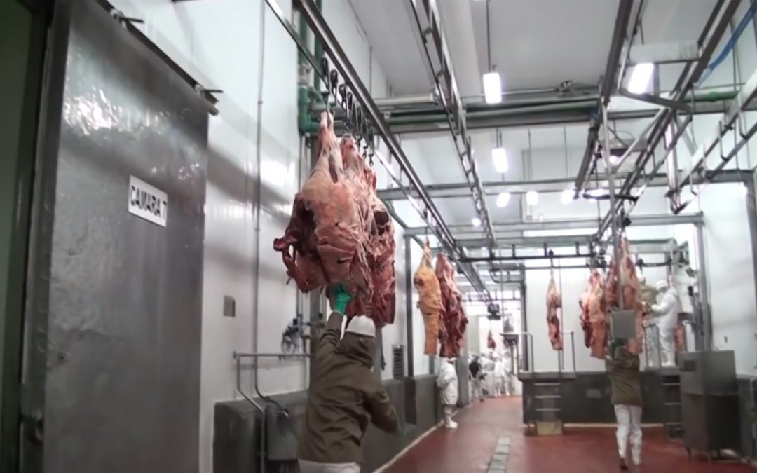 Paraguay desciende en top de principales exportadores de carne