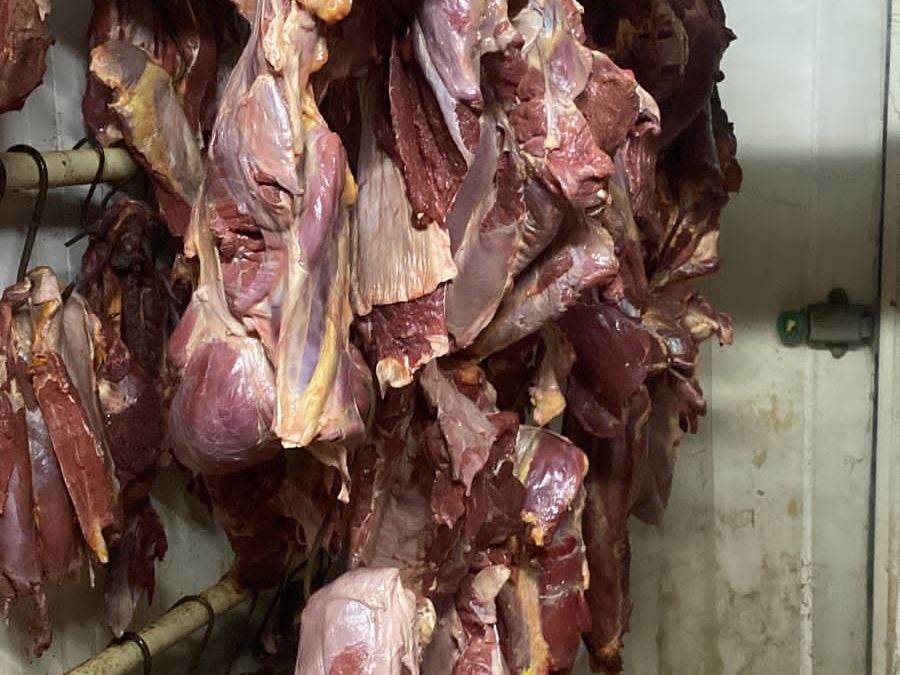 Luque: comerciantes vendían carne de caballo como si fuera de vaca