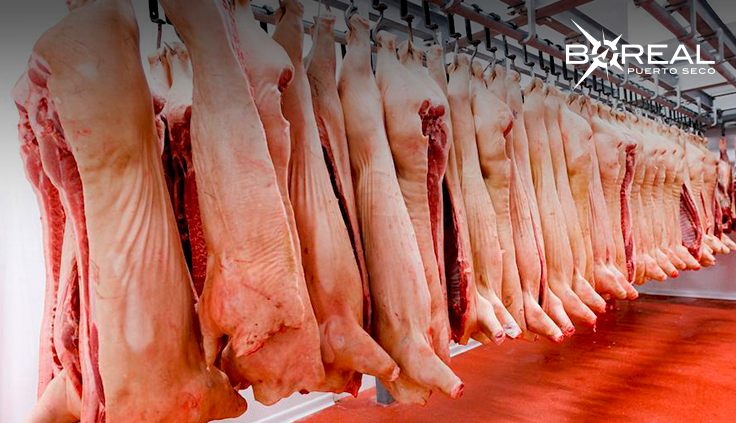 Carne porcina sigue posicionándose en Taiwán, resaltan