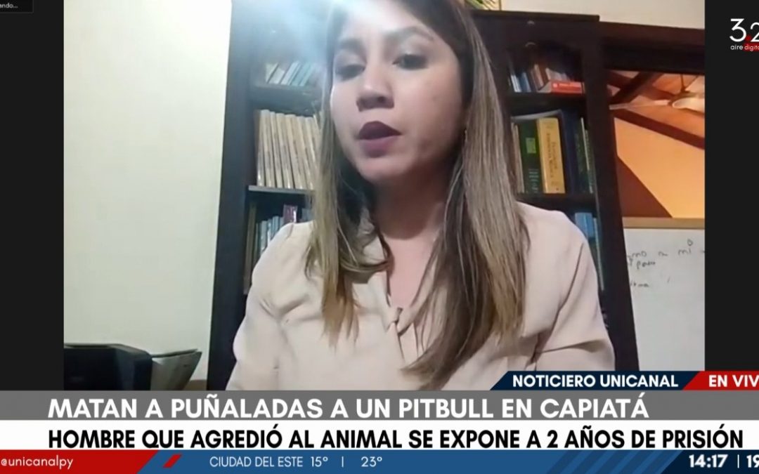 Caso pitbull: “La acción del hombre no tiene justificativo”, afirma Teresita Álvarez