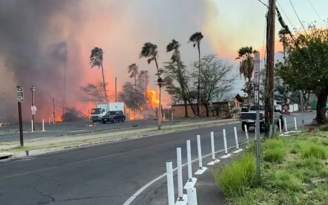 Incendios en Hawaii dejan 36 muertos y paraíso turístico reducido a cenizas
