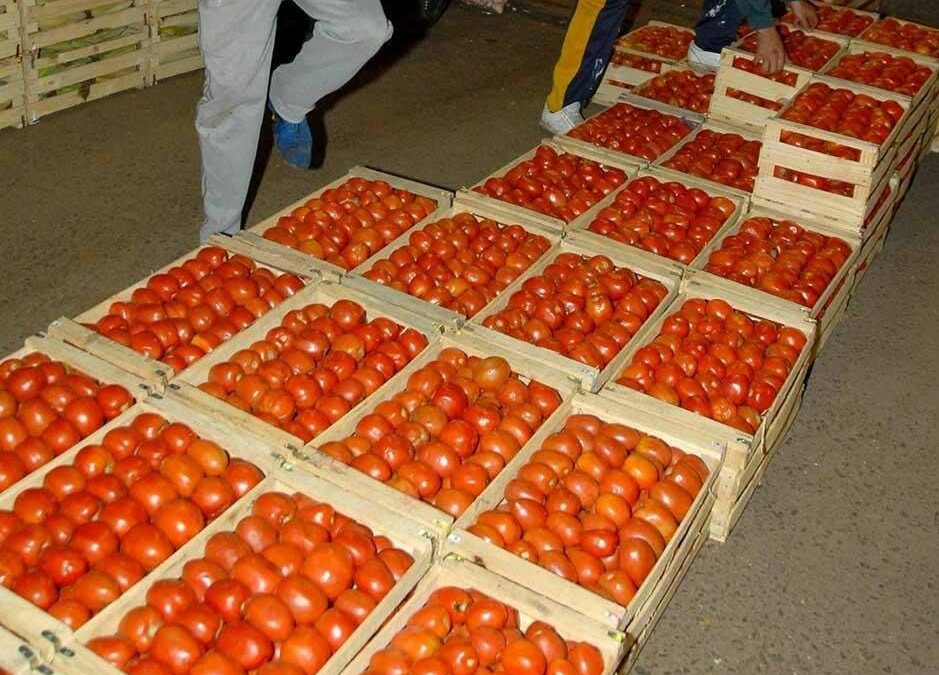 Presionan con aumento en precio del tomate tras el fuerte control al contrabando, aseguran