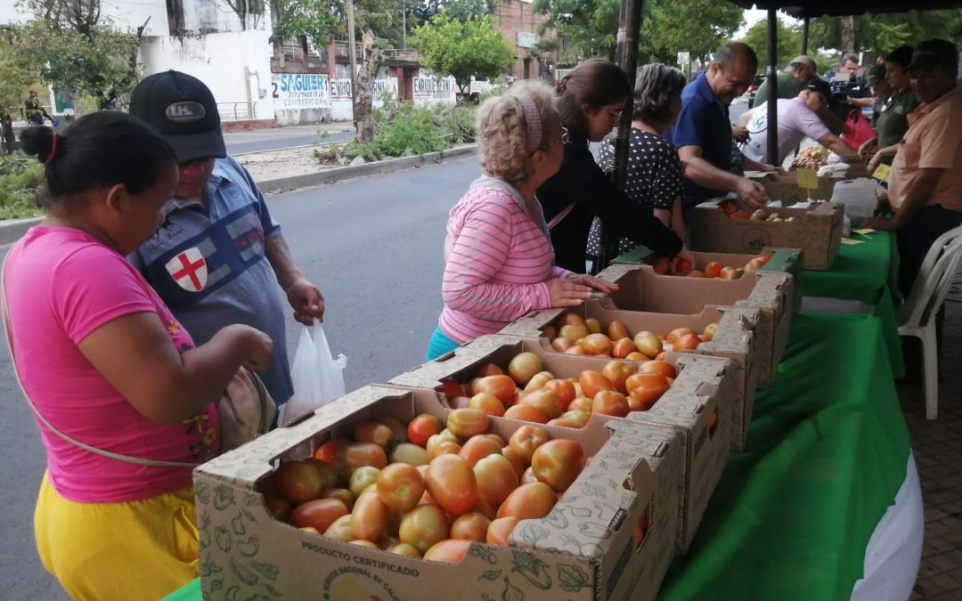 Ferias simultáneas de tomate serán hasta agotar stock